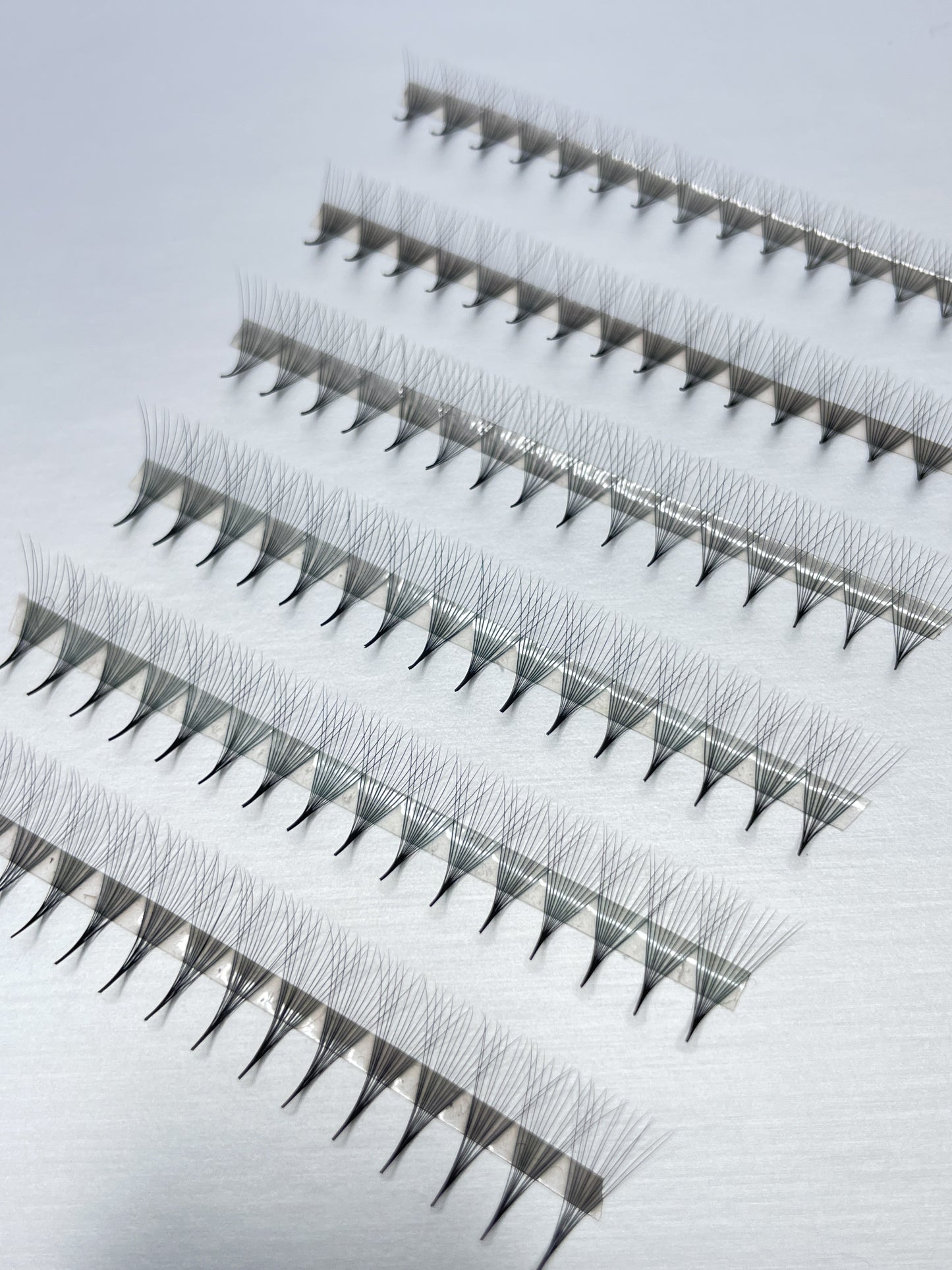 12D 0.03 PREMADE LASH FANS (APPROX 1100 FANS)