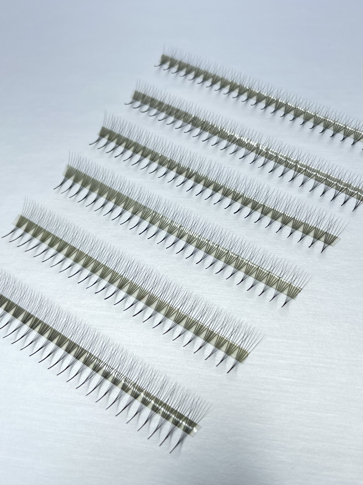 6D 0.05 PREMADE LASH FANS (APPROX 1100 FANS)