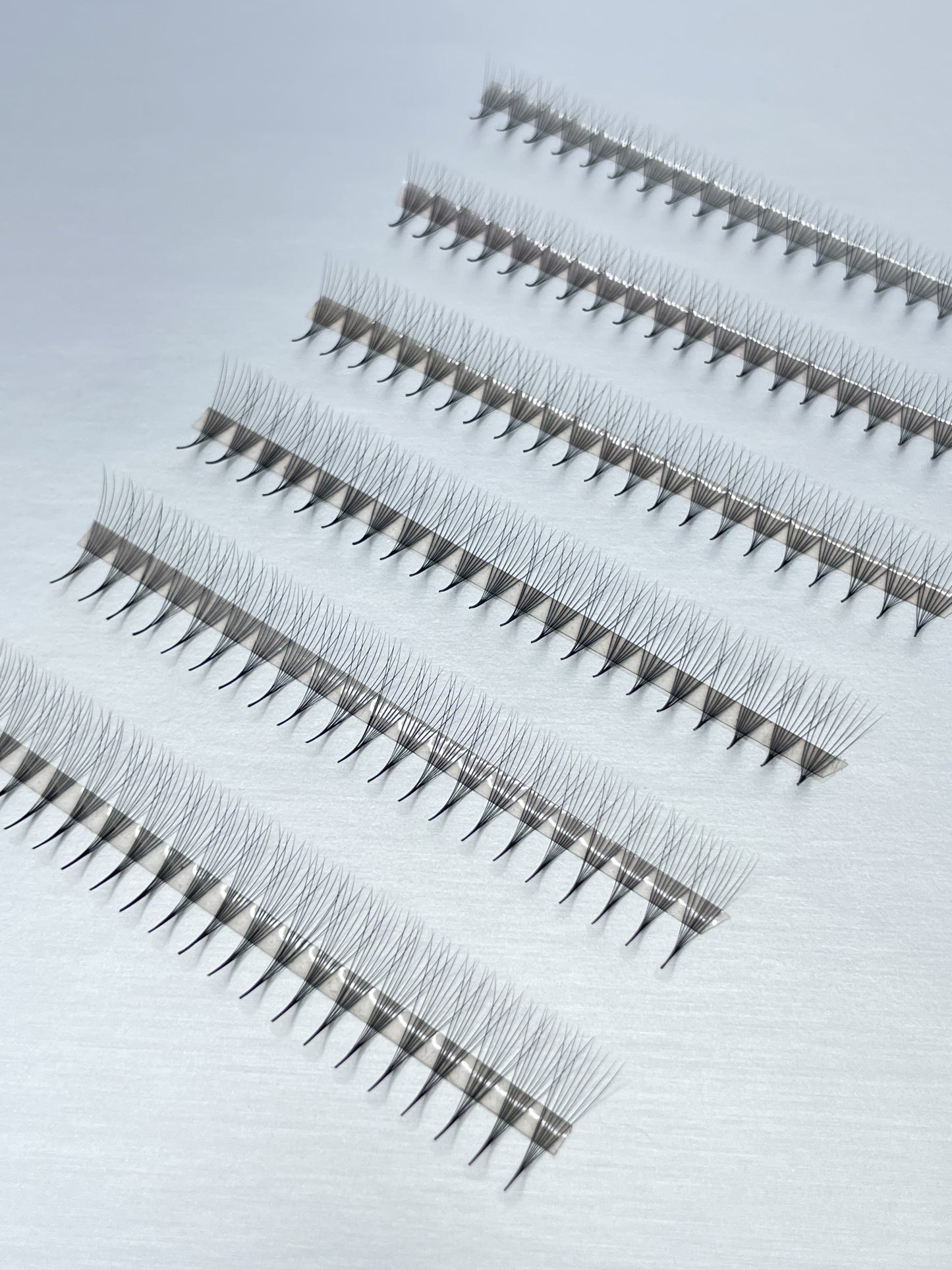 8D 0.05 PREMADE LASH FANS (APPROX 1100 FANS)
