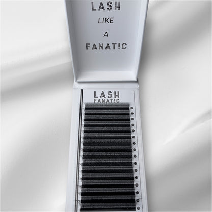 W LASHES