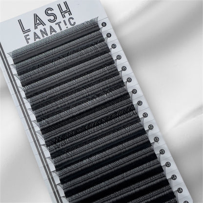 YY LASHES