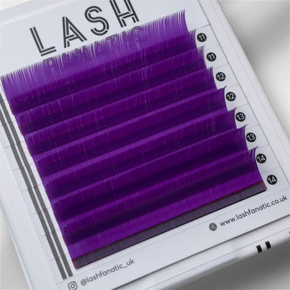 VIOLET LASHES