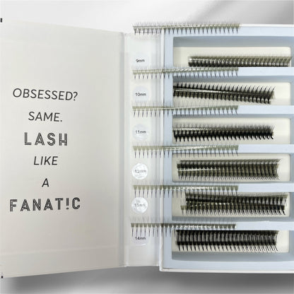 6D 0.05 PREMADE LASH FANS (APPROX 1100 FANS)
