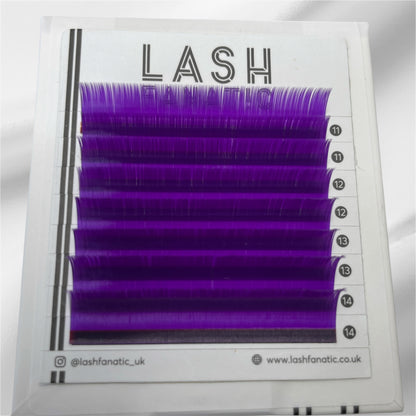 VIOLET LASHES