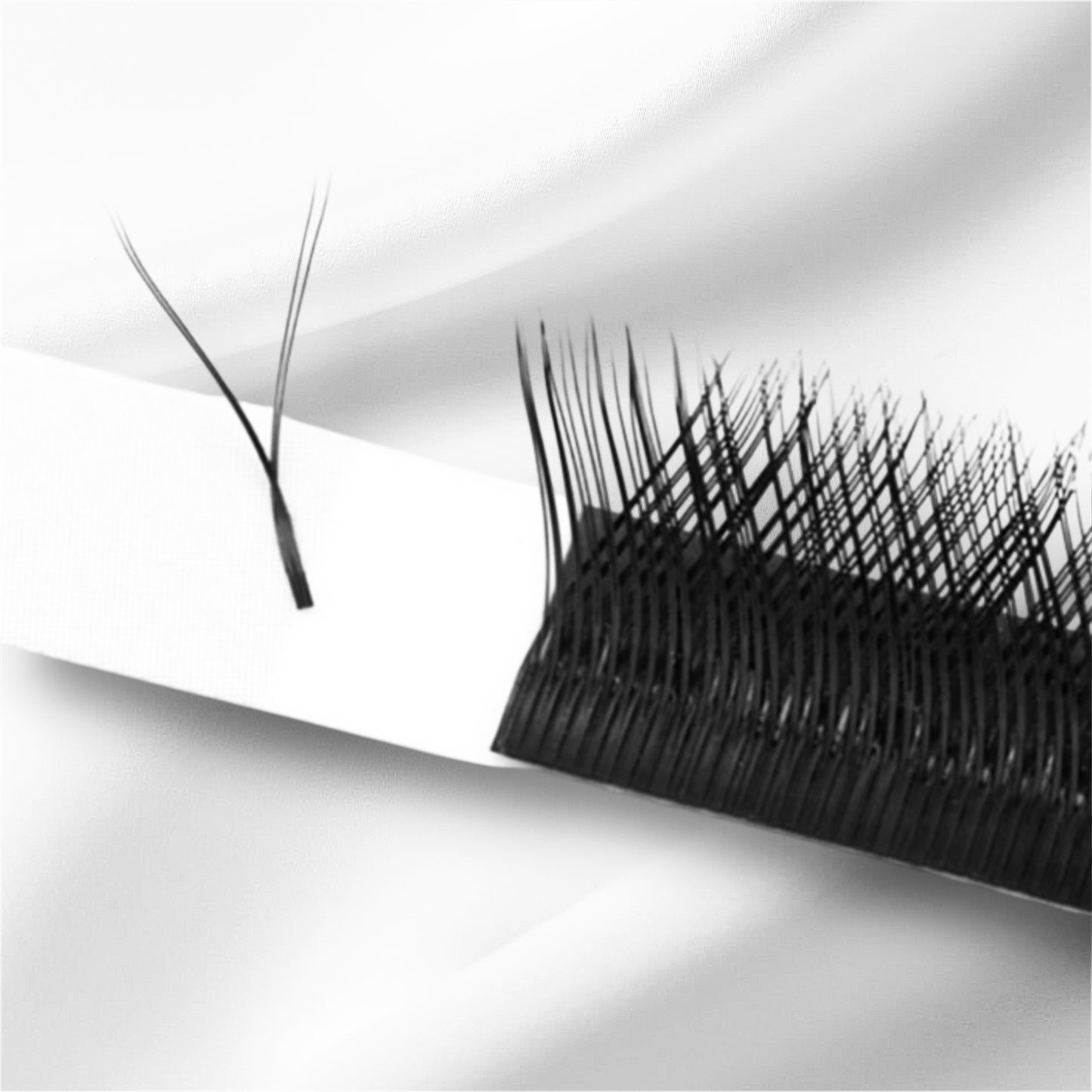 YY LASHES