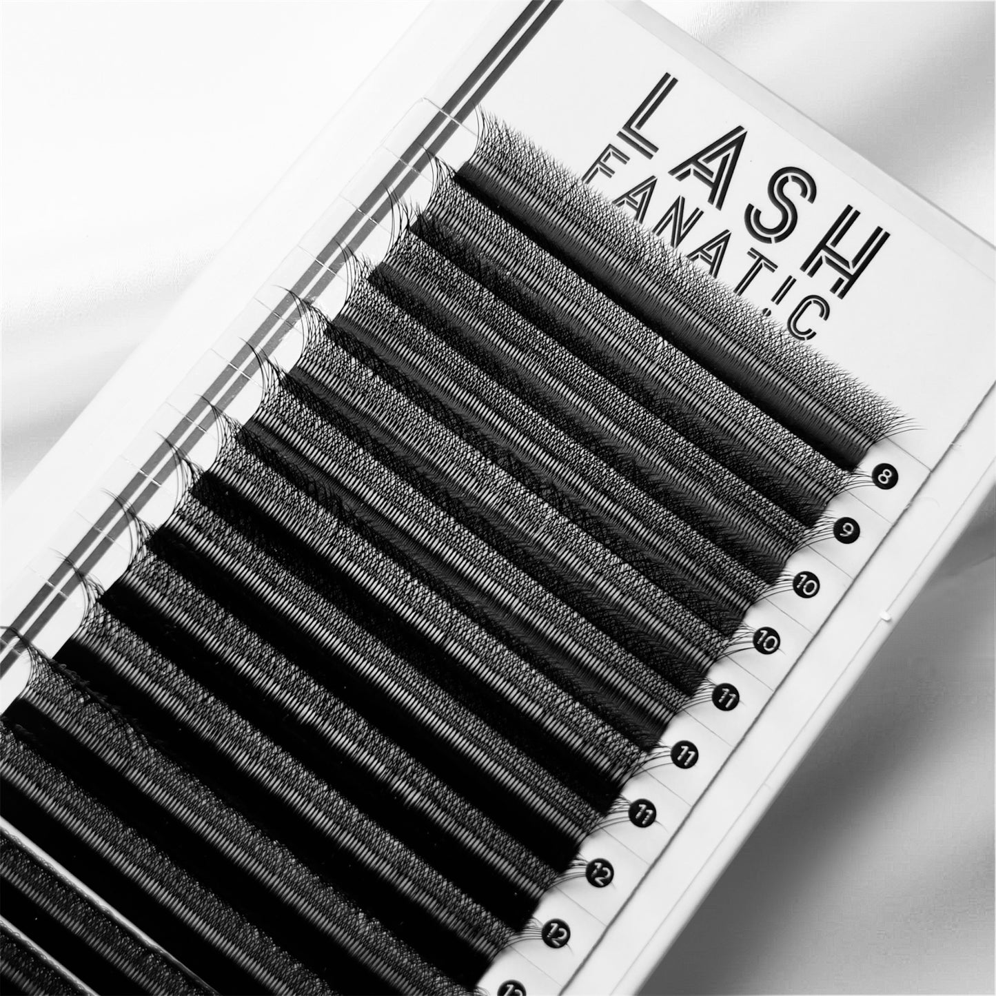 W LASHES