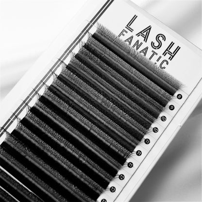 W LASHES