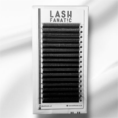 W LASHES