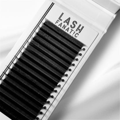 W LASHES
